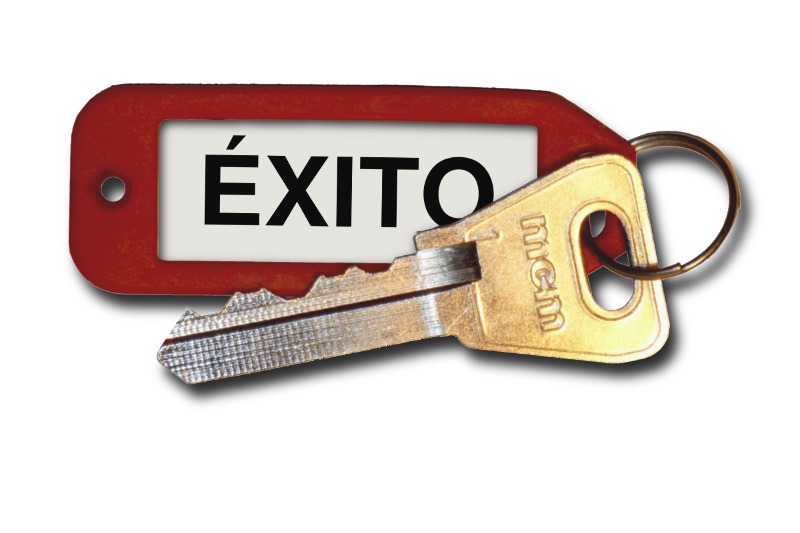 Cláusula de éxito en el contrato de prestación de servicios profesionales [STS]